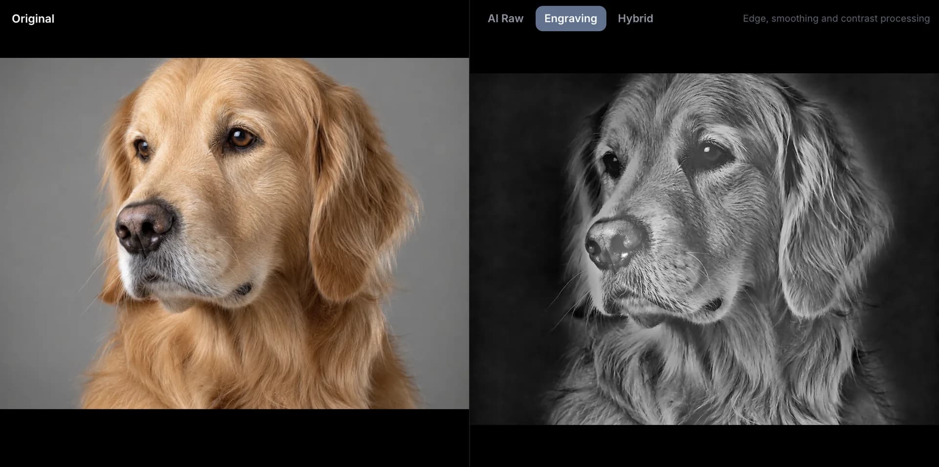 DepthGen Pro Engraving view: a golden retriever photo beside its engraving-ready depth render