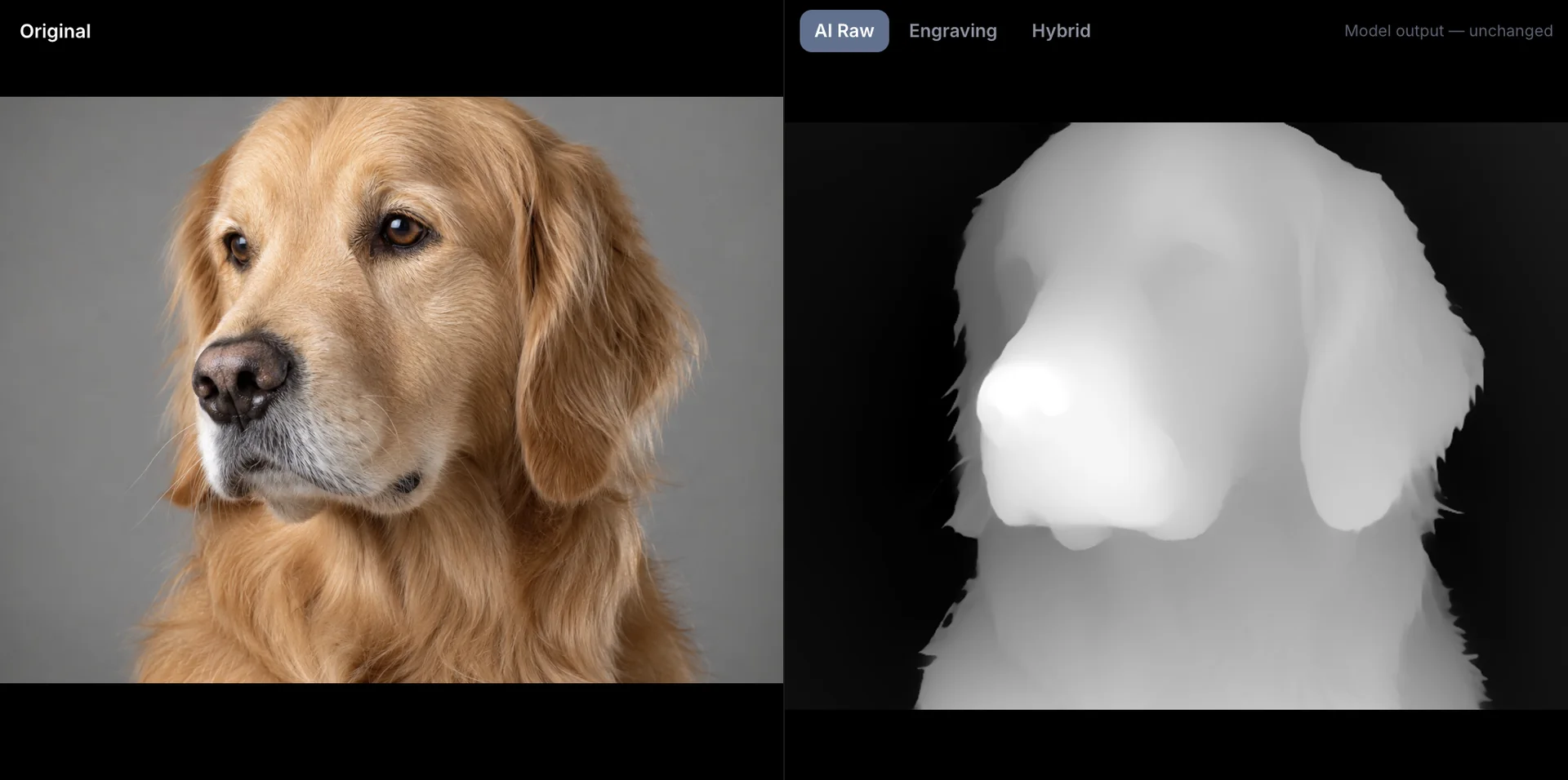 A golden retriever photo next to the AI depth map generated from it